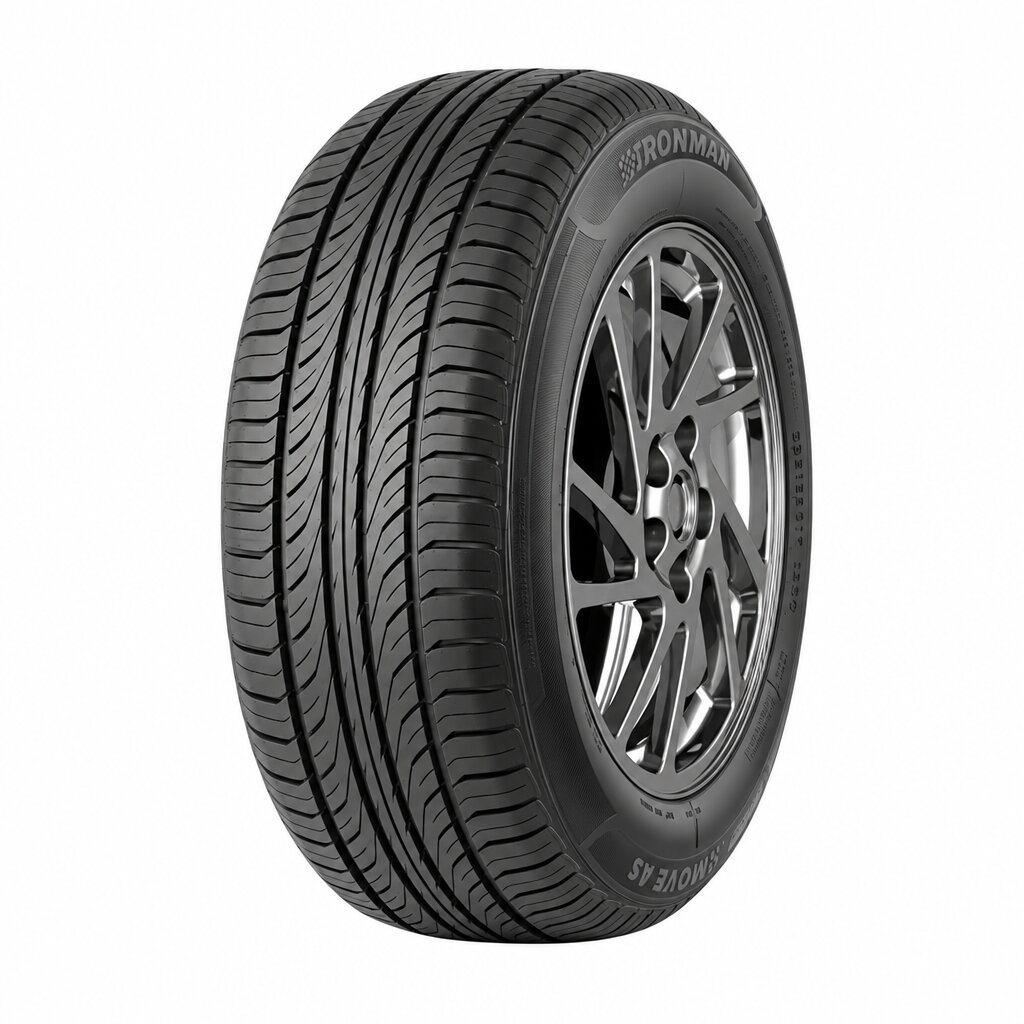 FRONWAY ECOGREEN 66 175/70 R14 84T  